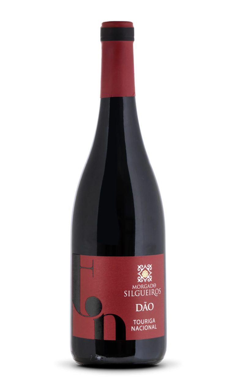 Morgado-silgueiros-TN-2